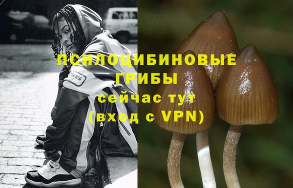 твердый Богородицк