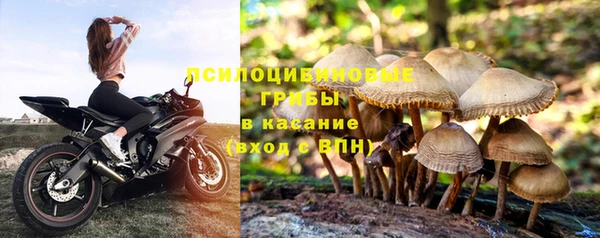 твердый Богородицк