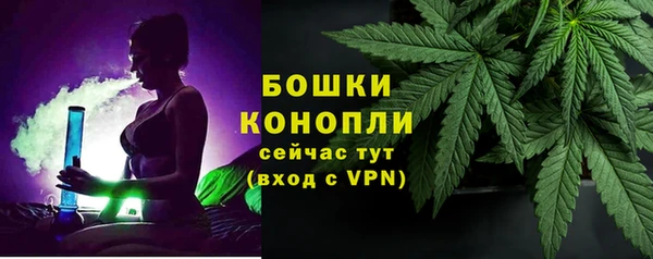 твердый Богородицк