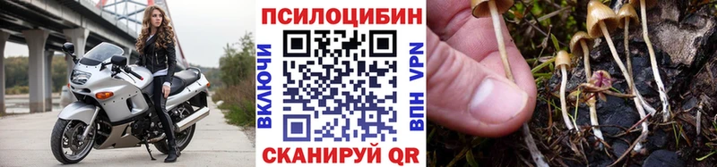 наркошоп  Шумиха  Псилоцибиновые грибы Cubensis 